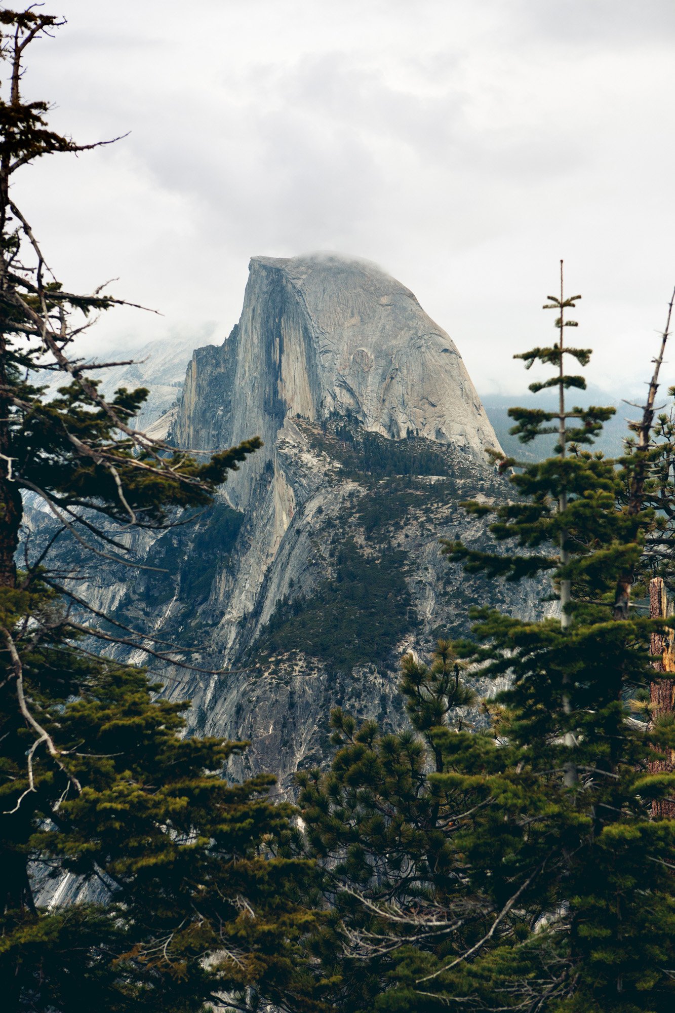 kateweybret_MG_8596_yosemite